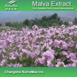 Malva Extract (sales07@nutra-max.com)