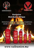 Extincteurs maxi protection /sécurité incendie