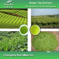 Green Tea Extract 20% L-Theanine (sales07@nutra-max.com)