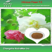 Hibiscus Flower P.E. (sales07@nutra-max.com)