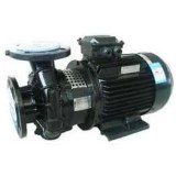 MINAMOTO Coolant Pump