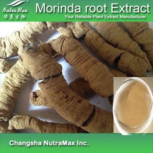 Morinda Root Extract (sales07@nutra-max.com)