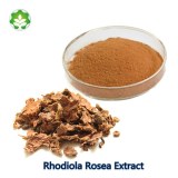 Natural grade supplier rhodiola rosea extract estrogen dominance