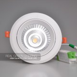 Led down light