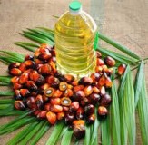 Huile de palme raffinée et d’huile de palme brute à vendre