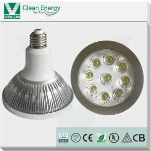 Waterproof 18W SAA UL Sharp COB LED Par38 Spotlight IP65