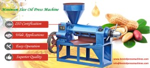 Smalll Oil Press Machine for Sales