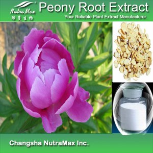 Peony Root Extract (sales07@nutra-max.com)