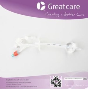 Gastrostomy Feeding Tube