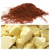Polvo de cacao y manteca de cacao para la venta Comm