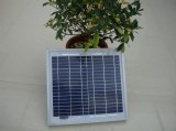 Poly 10w solar panel