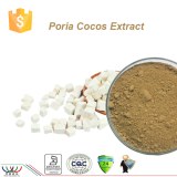 Pura azúcar en la sangre equilibrio natural de extracto de Poria cocos