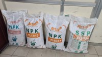 Urea Fertilizers, Potassium Nitrate Fertilizer, NPK Fertilizers for sale.