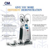 Professional Fat Dissolving with Frozen RF Equipment Improve Skin Cryo Slimming Machine...