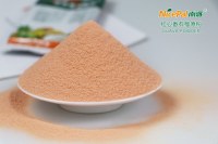 Fruit powder guava powder from manufacturer