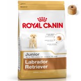 Royal Canin Labrador Retriever Junior dog food 12kg