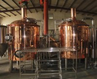 Export micro bar brewing equipment red copper brewing machine alibaba china market