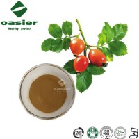 Plant Extract Rosehip Extract Powder Rosehip Polyphenols