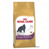 Royal Canin British Shorthair Adult, 10kg