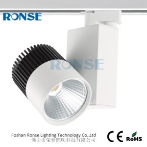 Foshan Ronse Lighting Technology Co,.Ltd