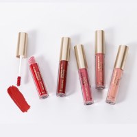 19 Color Velvet Matte Liquid Lipstick