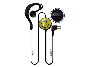 Ear hook earphone