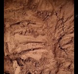 Cacao en polvo 100% natural – Calidad de exportación