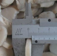 IQF sliced mushroom