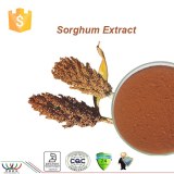 Natural balancing blood sugar, anti-oxidant sorghum extract