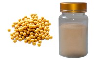 40% Soybean isoflavones HPLC Soybean Extract Powder