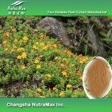 St.John’s Wort P.E (sales07@nutra-max.com)