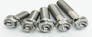 Stainless steel flange bolts manufacturers in india.