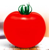 T43 Hongrui enorme hybird fruta f1 semillas de tomate de color rojo para la venta