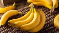 Cherche fournisseur banane Cavendish Equateur