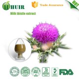 80% silymarin Milk thistle seed extract natural liver health