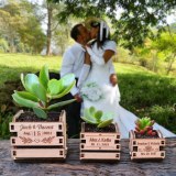 Tiny Plant Wooden Box: caja de madera personalizable con cactus o suculentas