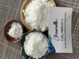 Semaglutide Polypeptide Pharmaceutical Intermediate Chemical Raw Material Medical Care
