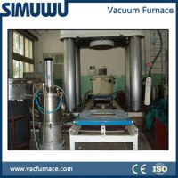 Vacuum thermal resistance furnace