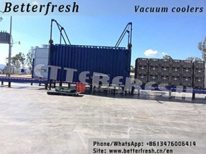 Factory Customized Hydraulic door vacuum cooler fast cooling for fresh strawberry veget...
