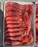 Gamba roja (Aristaeomorpha foliacea)