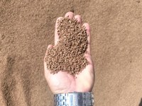 Venta de orujo de oliva