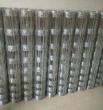 Hot-Dipped Galvanized Wire Farm Fence/Field Fence/Cattle Fence/Wire Mesh Fencing