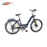 City female fashion electric bike