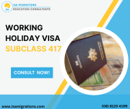 Unlock an Unforgettable Adventure: Working Holiday Visa 417!