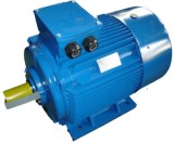 Electric Motor