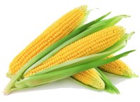 Compre harina de maíz al por mayor, compre maíz amarillo