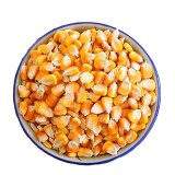 Dry Yellow Corn For Animal Feed