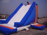 Inflatable water slide, dry slide, inflatable giant slide