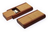 ZT-GD-U0497 Wood USB flash drive